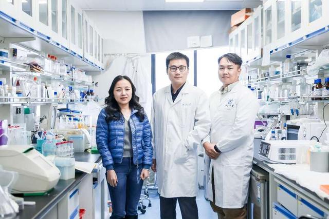 浙江大学团队照（从左至右：章敏、张岩、程诗卓）。浙江大学供图