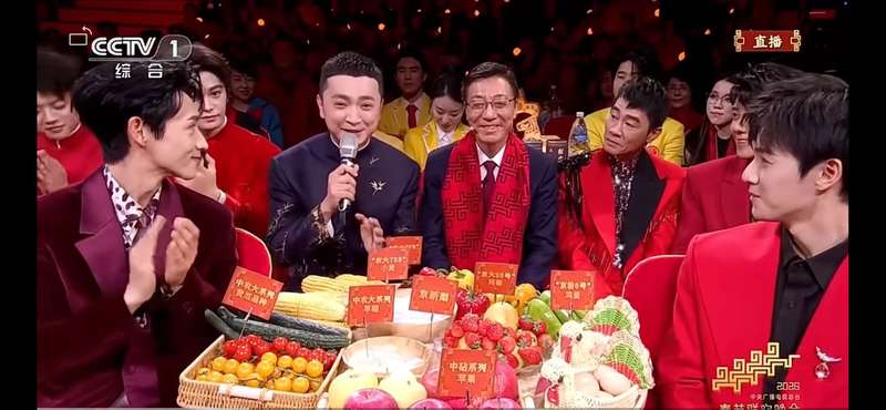 央视春晚直播截屏