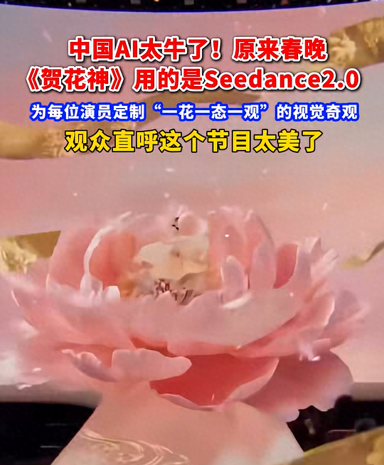 图源：央视截屏