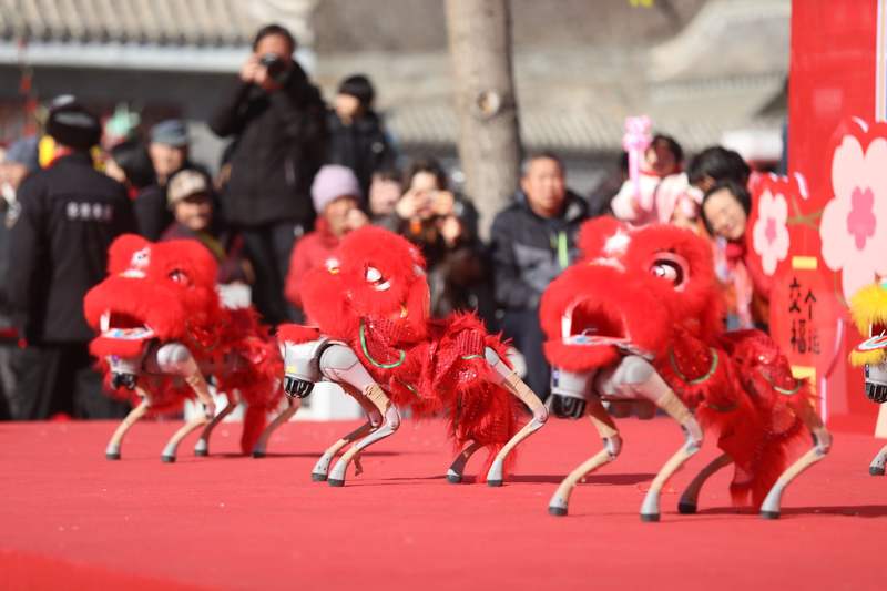 开幕式上的机器人舞狮表演。新京报记者 薛珺 摄