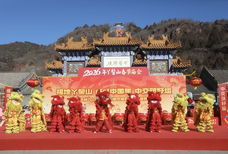 丫髻山庙会开幕式上的舞狮表演。新京报记者 薛珺 摄