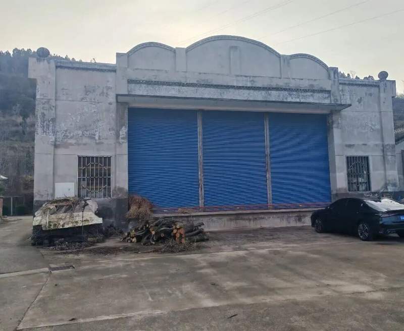 返乡。读者“朴杰”供图