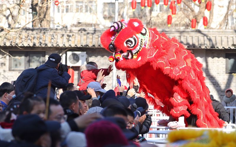 观众与舞狮表演互动。新京报记者 王贵彬 摄