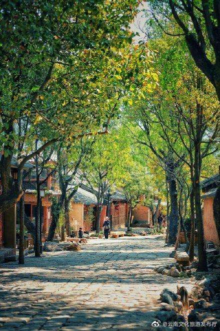 (图片来源：云南省文化和旅游厅)
