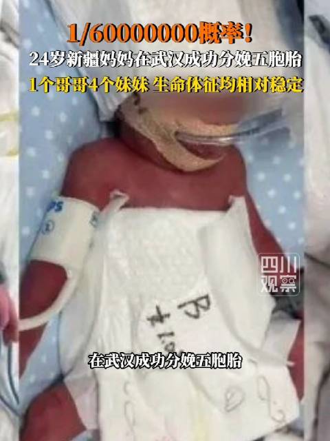 24岁女生成功分娩五胞胎|湖北省|武汉市|女子|大年|母亲_新浪新闻