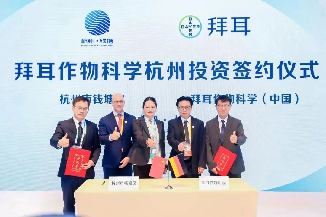 图源 钱塘发布