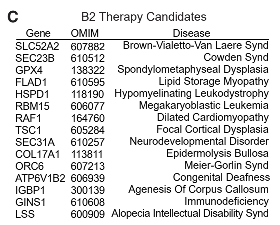 图 | 在维生素 B2 全基因组 CRISPR 筛选中发现的主要单基因疾病（来源：上述论文）