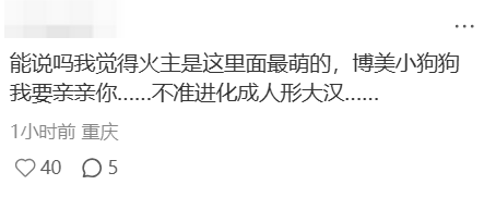 尤其是对着人气最高、四足而立的博美耿