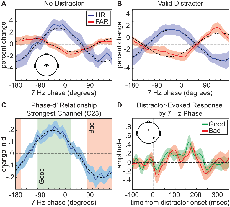 图 | 大约 7 Hz 的 Theta 波（来源：论文）