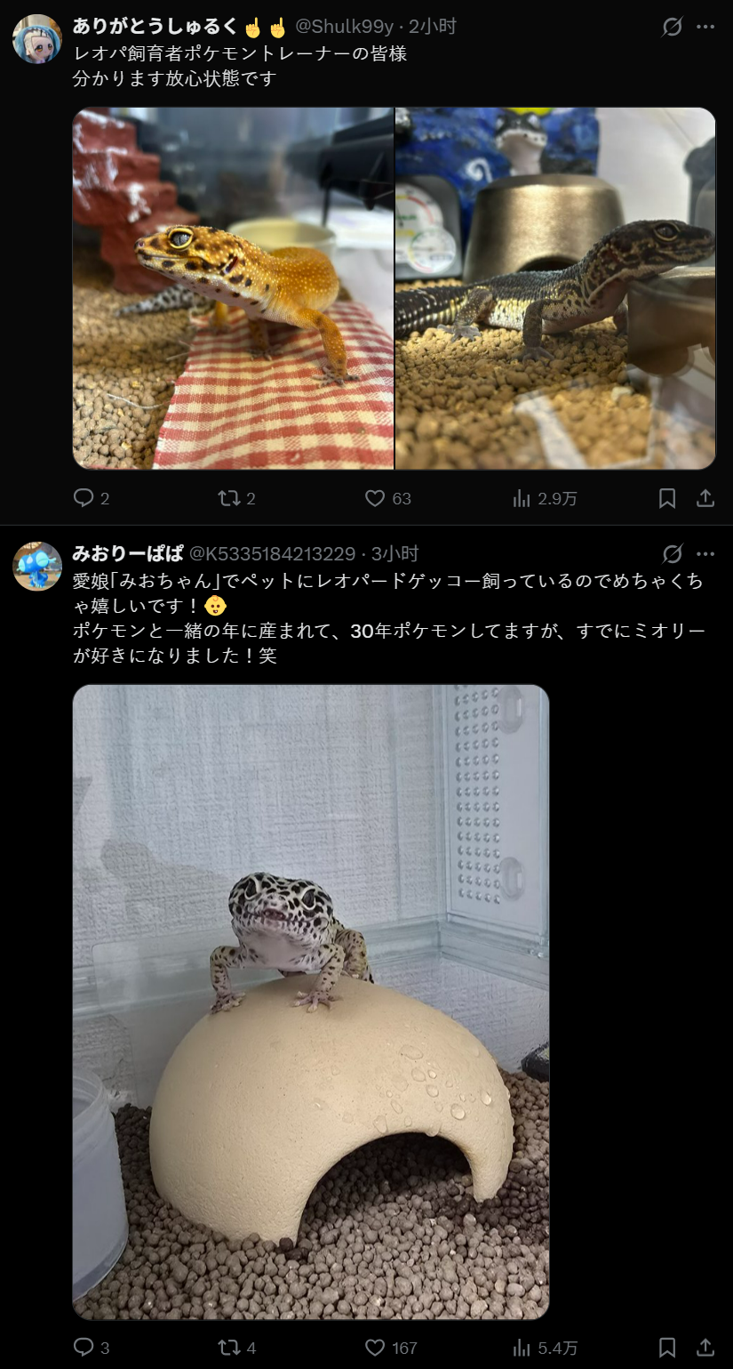 一些网友在官方贴的评论区里发了自家养的瘤尾守宫照片，被点赞到前排