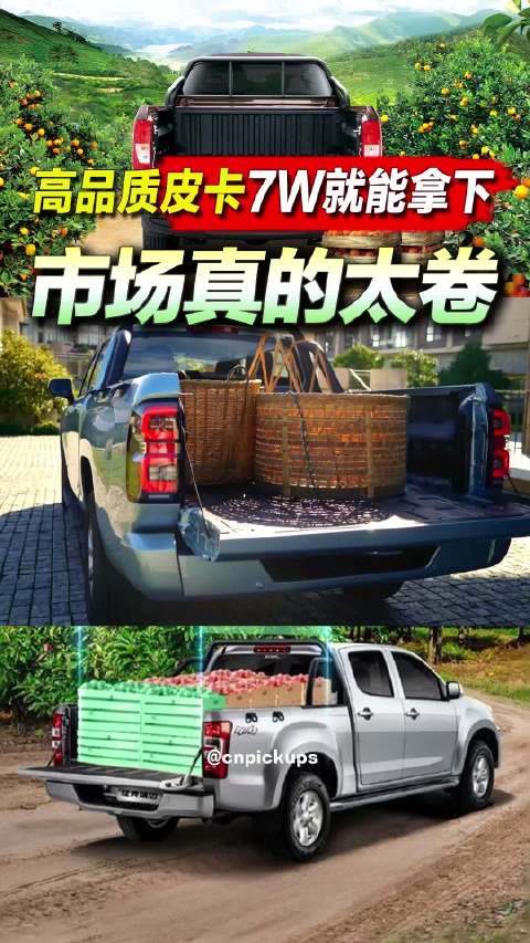 高品质<em>皮卡</em>7W就能拿下 市场真的太卷