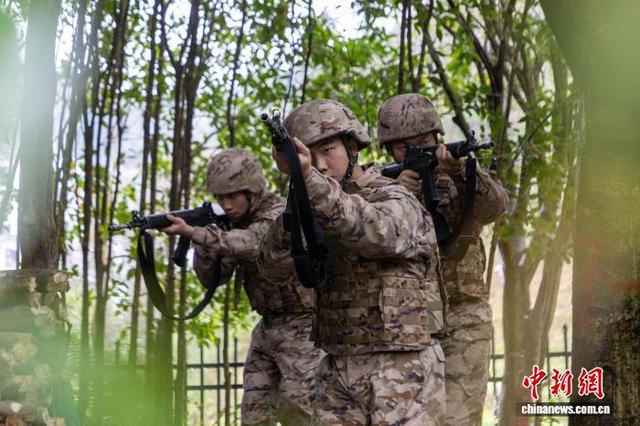 广西桂林:武警官兵开展实战化训练_新浪财经_新浪网