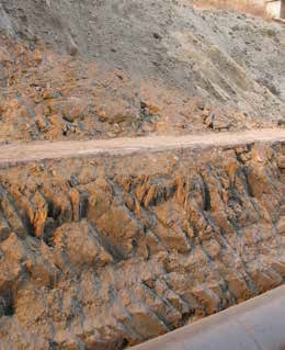 安河桥下出土的明代木桩。《三山五园水系变迁》内文图