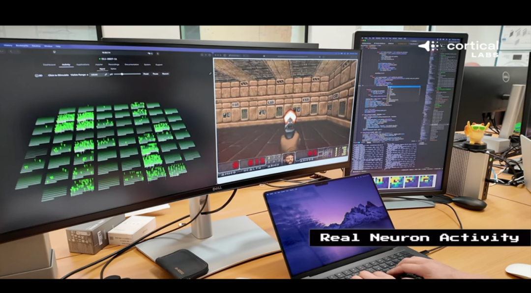 （来源：Cortical Labs）
