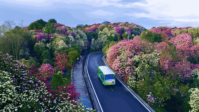 资料图 视频部 摄 