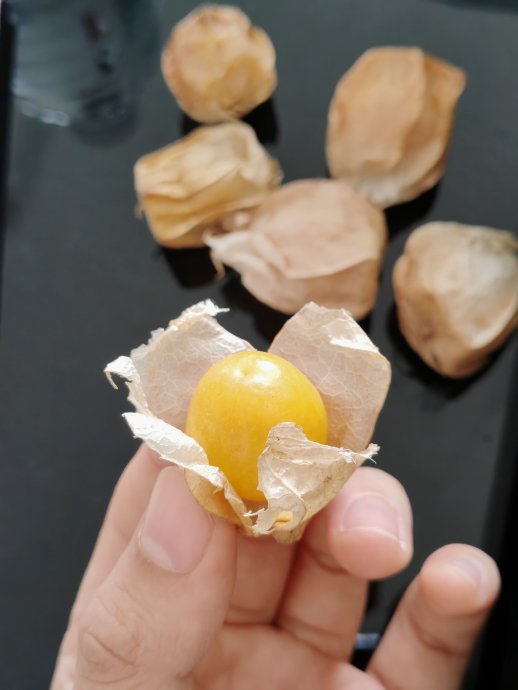 东北冻梨爆火出圈！除了黑皮爆汁，这些水果一听就很东北|鞍山|哈尔滨市|年夜饭|冻柿子|苹果_新浪新闻
