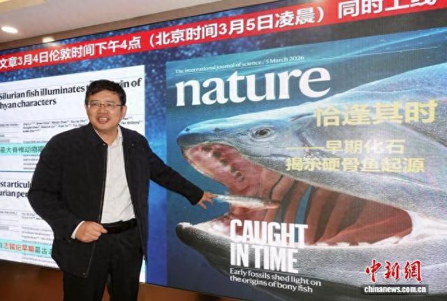 中国发现4亿多年前原始硬骨鱼类，填补“从鱼到人”演化空白|脊椎动物|北京市|中国科学院|化石|朱敏_新浪新闻