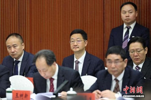 图为全国人大代表，中国移动通信集团重庆有限公司党委书记、董事长、总经理夏泳(第二排中)。中新网记者盛佳鹏摄