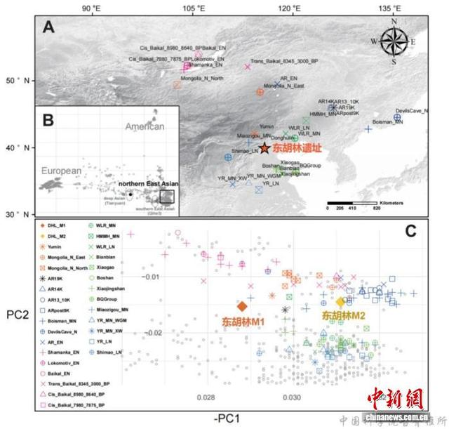 本项研究涉及人群的空间分布及主成分分析。中国科学院古脊椎所 供图