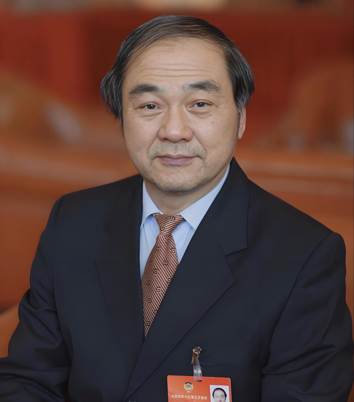 AI如何助力加快建设健康中国？全国政协常委贾楠建议推广城市级医疗健康智能体 - 新浪新闻_手机新浪网