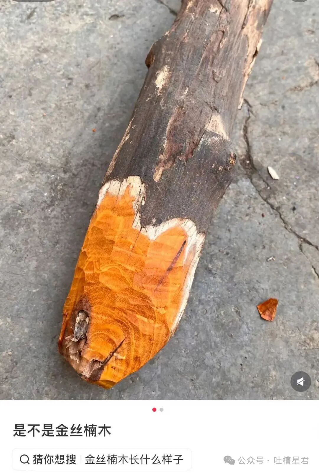 身份证被机场安检贴了“清荷宝宝”，男子傻眼：难道把我当孕妇了？