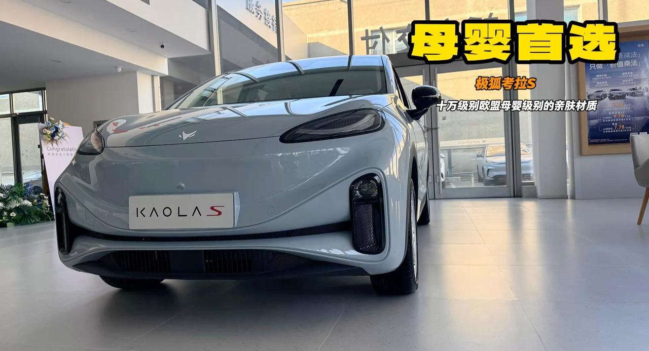 有趣小车极狐考拉 10万<em>级</em><em>别</em>左侧正常开 右侧电滑门方便上下车