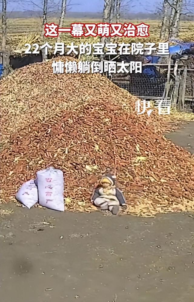 22个月的萌娃躺在玉米芯晒太阳，全网都在羡慕那种松弛感