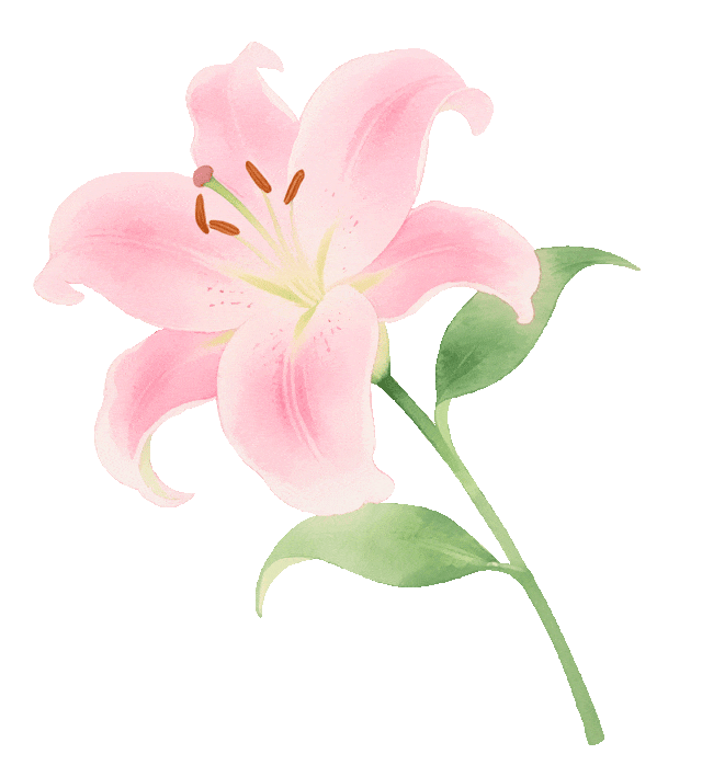  打开网易新闻 查看精彩图片 