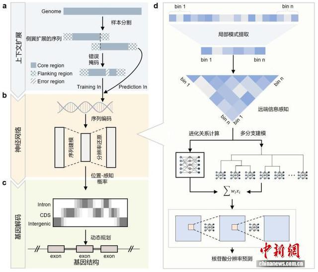 ANNEVO方法概览。西安交通大学供图