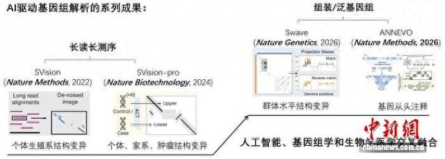 团队系列成果概览。西安交通大学供图