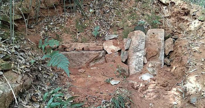 浙江绍兴发现鲁迅恩师寿镜吾墓葬  由DNA比对确认