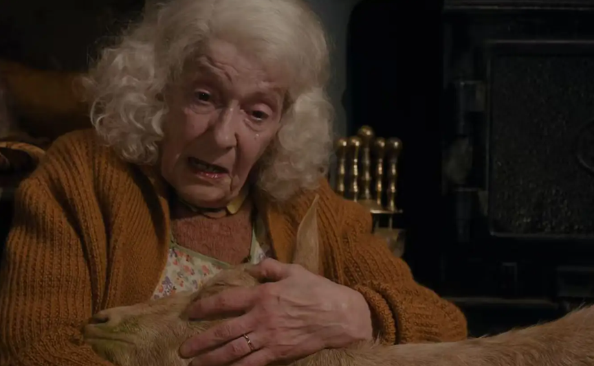 图 | 老奶奶抱着被安乐死的宠物羊（来源：《万物生灵》）