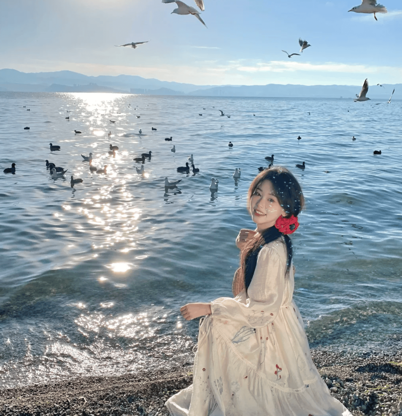 2026年3月云南旅游7天6晚纯玩团攻略,必去景点推荐+费用明细+避坑指南|云南省|大理白族自治州|洱海|昆明市|云南旅行_新浪新闻