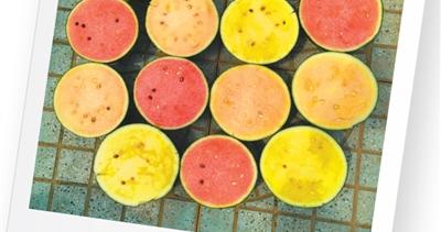 年产量占全球60%！中国人的“西瓜自由”，是这样实现的