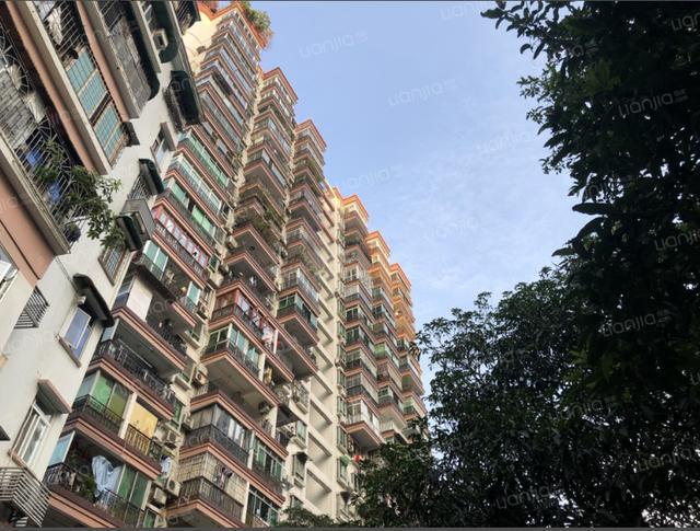 价格到位,广州二手房爆了!3月狂卖6000套|广州市|新房|三房|贝壳网|广州房价_新浪新闻