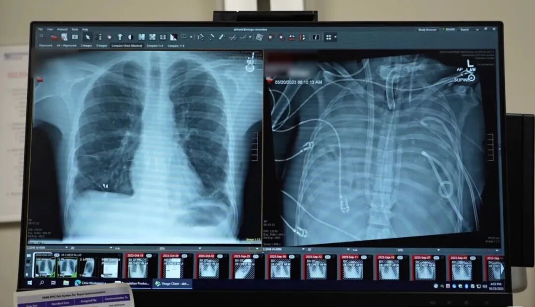（来源：美国西北大学范伯格医学院）