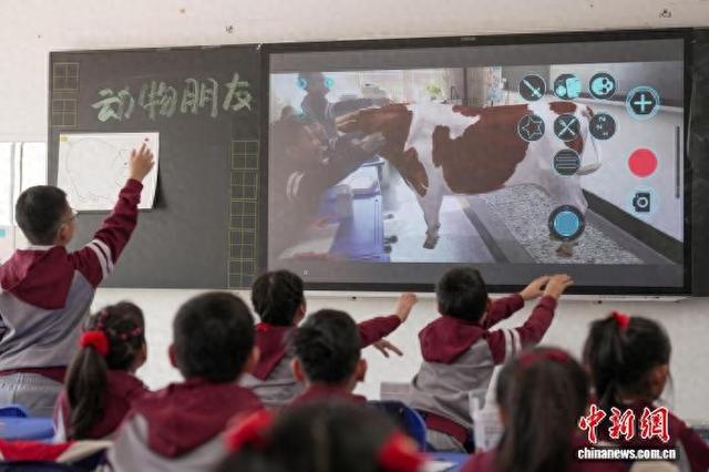 学生在美术课堂通过AR技术“近距离”观察动物形态。 于琨 摄