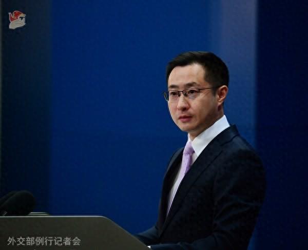 林剑资料图。图源：外交部网站