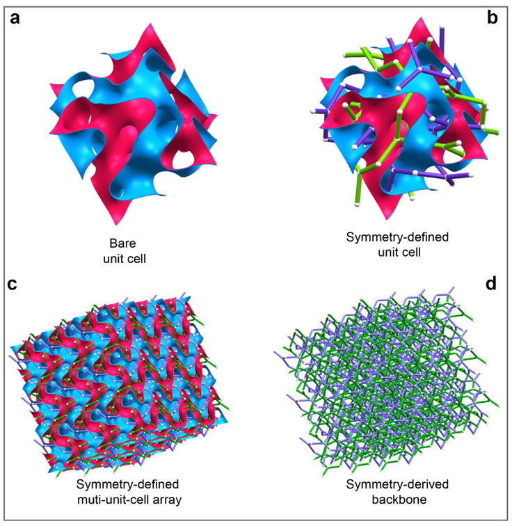 图 | TPMS 结构(来源:上述论文)