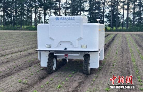 自走式智能机器人在田间作业 哈工大供图