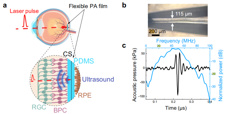 图丨柔性光声薄膜的表征（来源：Nature Communications）