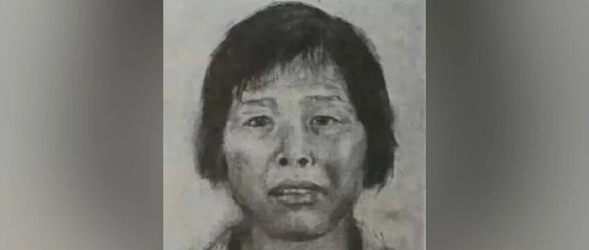 “梅姨”落网过程披露，“长相变化很大，与此前画像相似度不到30%”