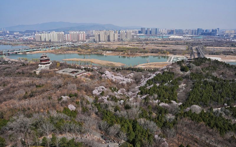 3月21日，永定塔正式开放，登塔可俯瞰整片桃花谷。新京报记者 陶冉 摄