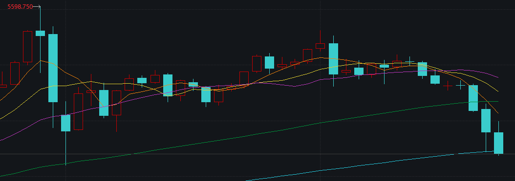 现货黄金价格走势。图片来源：Wind