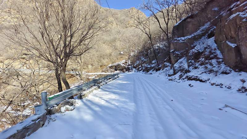 首都夜蛾生境。受访者供图