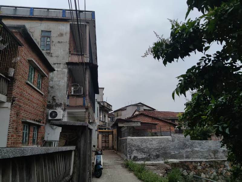 广州市增城区鸡公山。 新京报记者 赵敏 摄