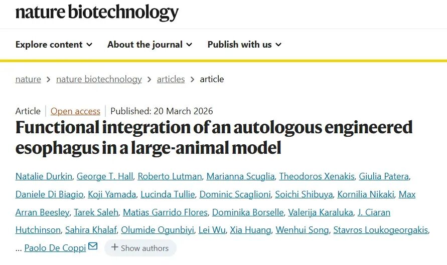 图丨相关论文（来源：