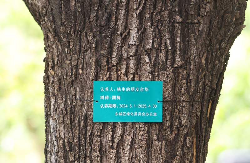 2025年，有读者以“铁生的朋友余华”身份认养一棵树，引发广泛关注。新京报记者 王贵彬 摄