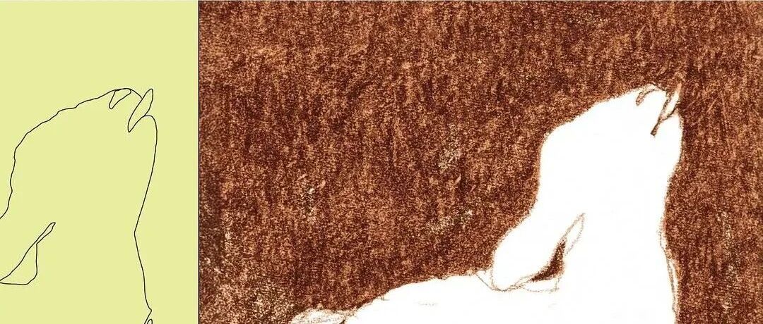 我不断体验着作为女性如何生存和自处 | 一周荐书