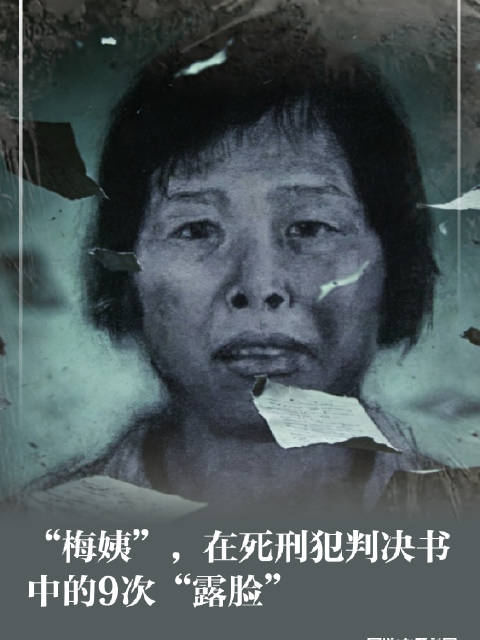 “梅姨”，在死刑犯判决书中的9次“露脸”|广州市|广东省|嫌犯|拐卖儿童|寻亲_新浪新闻
